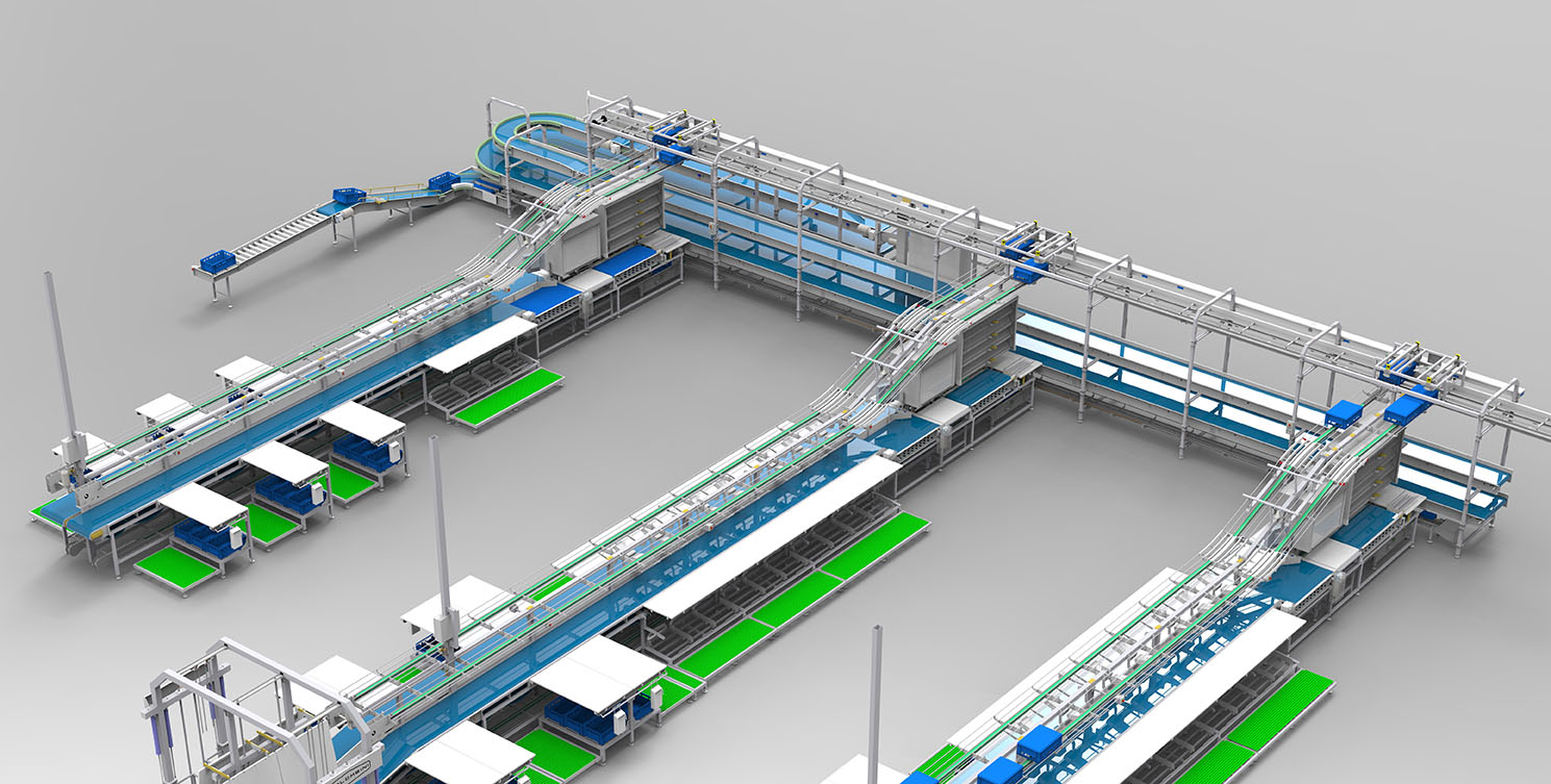 1 Linea disosso Bovino verticale con cassette